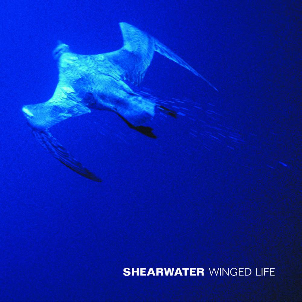[Shearwater] St.Mary s Walk (Winged Life) Photo-Image