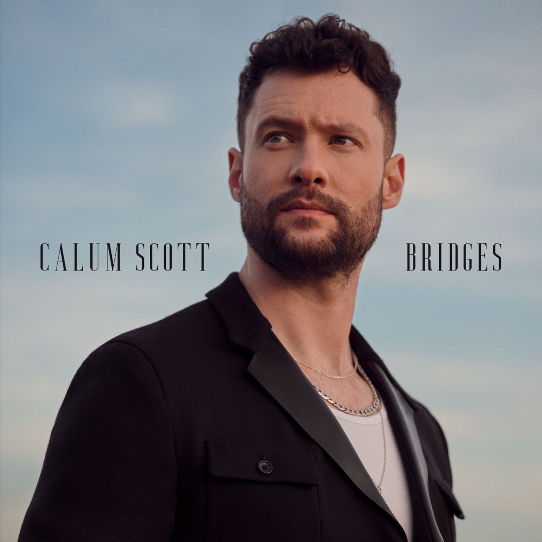 [Calum Scott] Goodbye,Again (Bridges-2022) Photo-Image