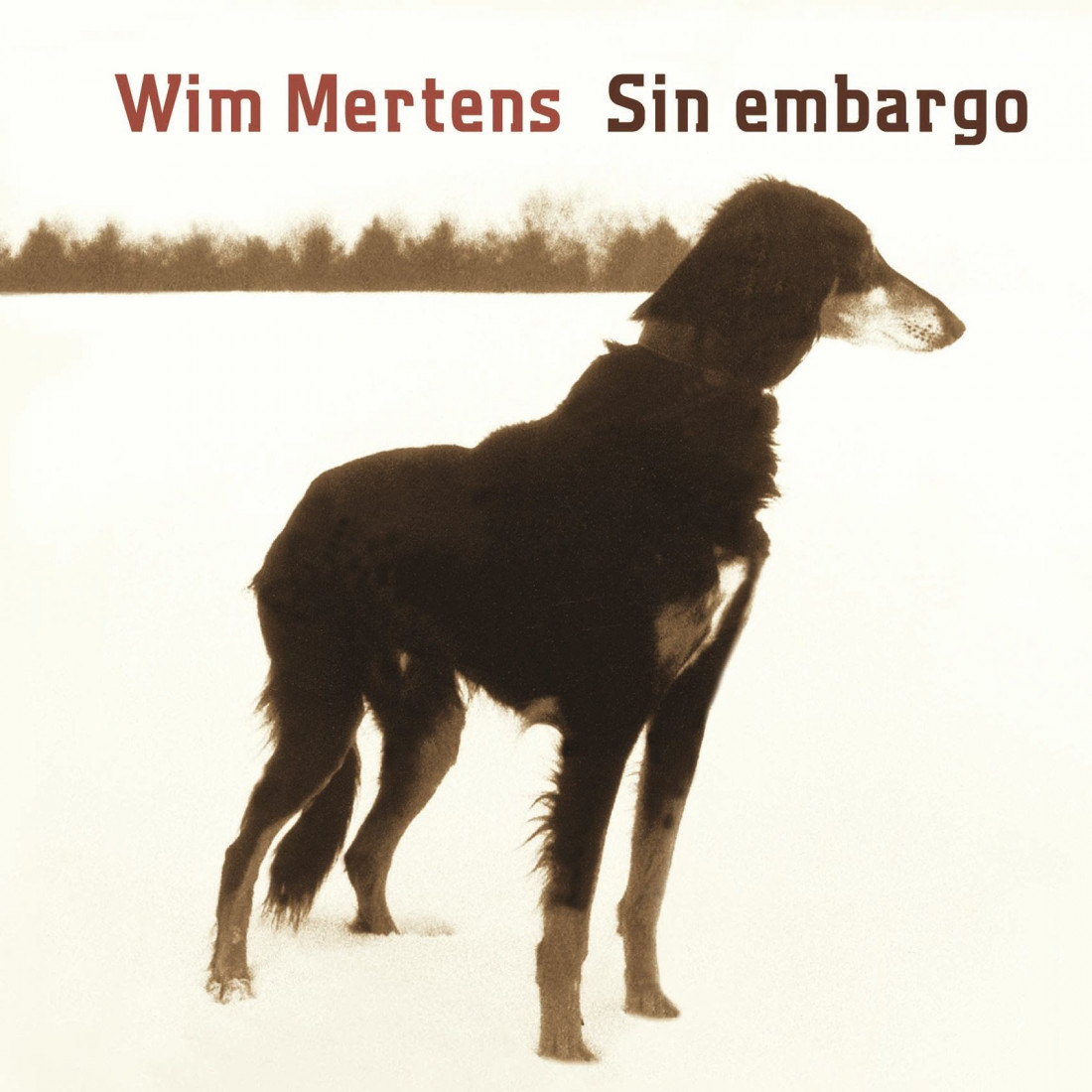 [Wim Mertens] 8.The Scene (Sin Embargo) Photo-Image