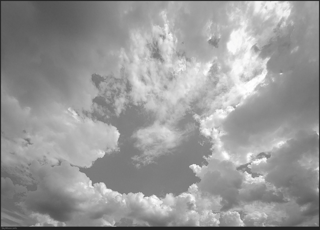 [Jordi Savall] Farnace,RV711 Sinfonia-Andante_Vivaldi Photo-Image