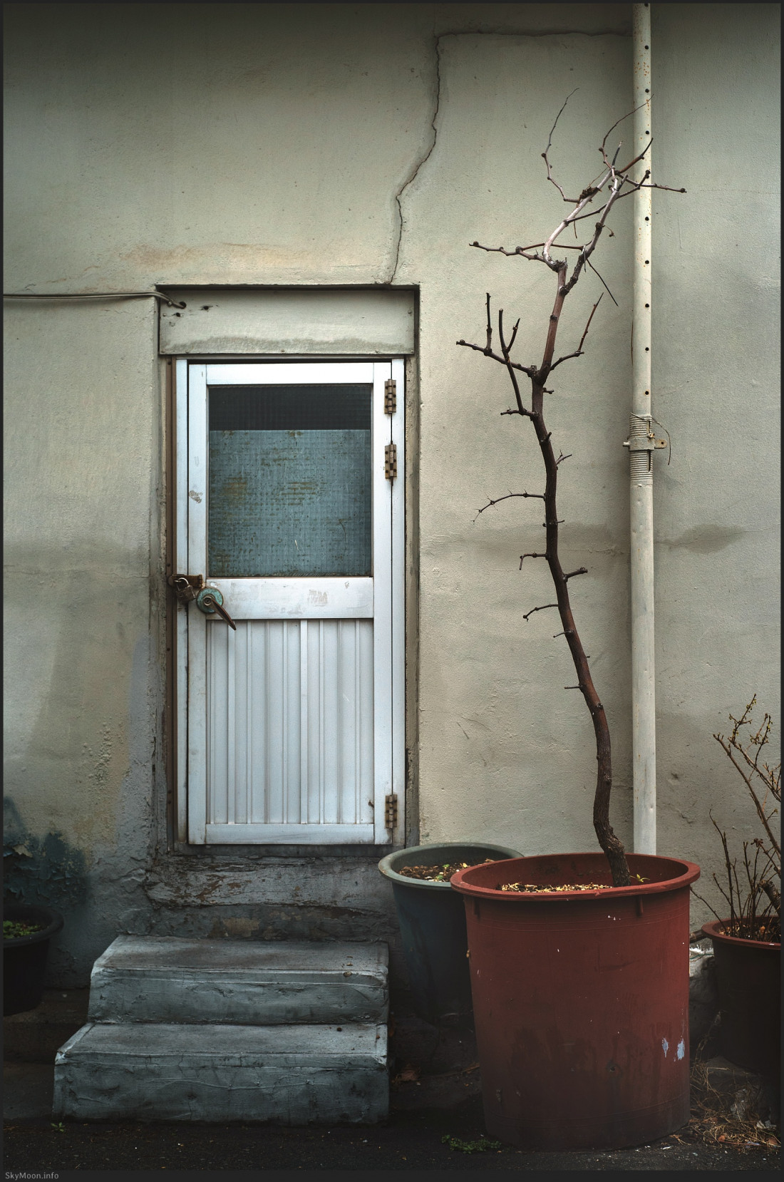 [Kari Bremnes] Montreal (몬트리올) Photo-Image
