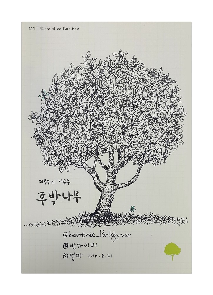 [박가이버] 나무그림 004 Photo-Image
