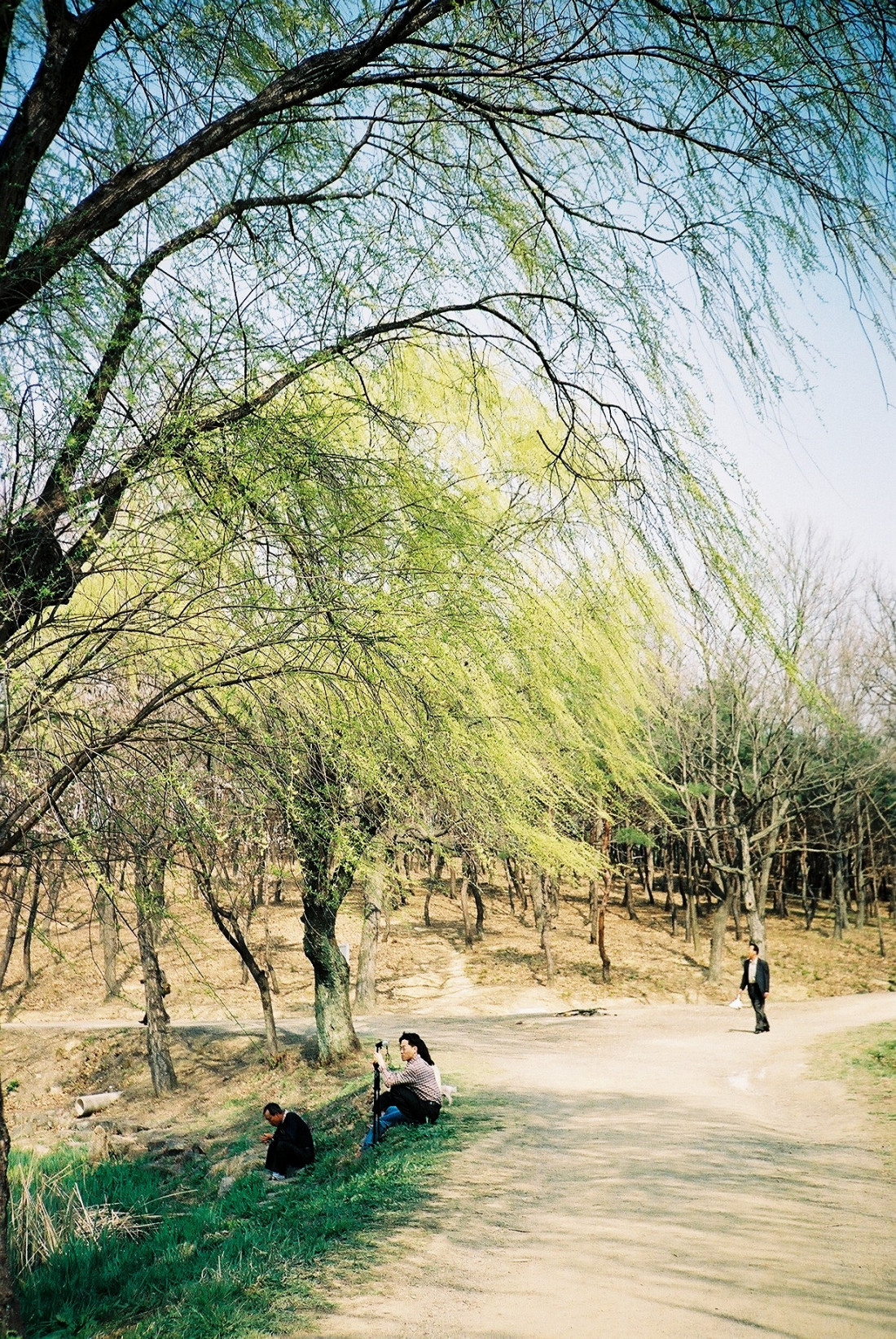 [Coffee] 봄,그리고 바람 Photo-Image