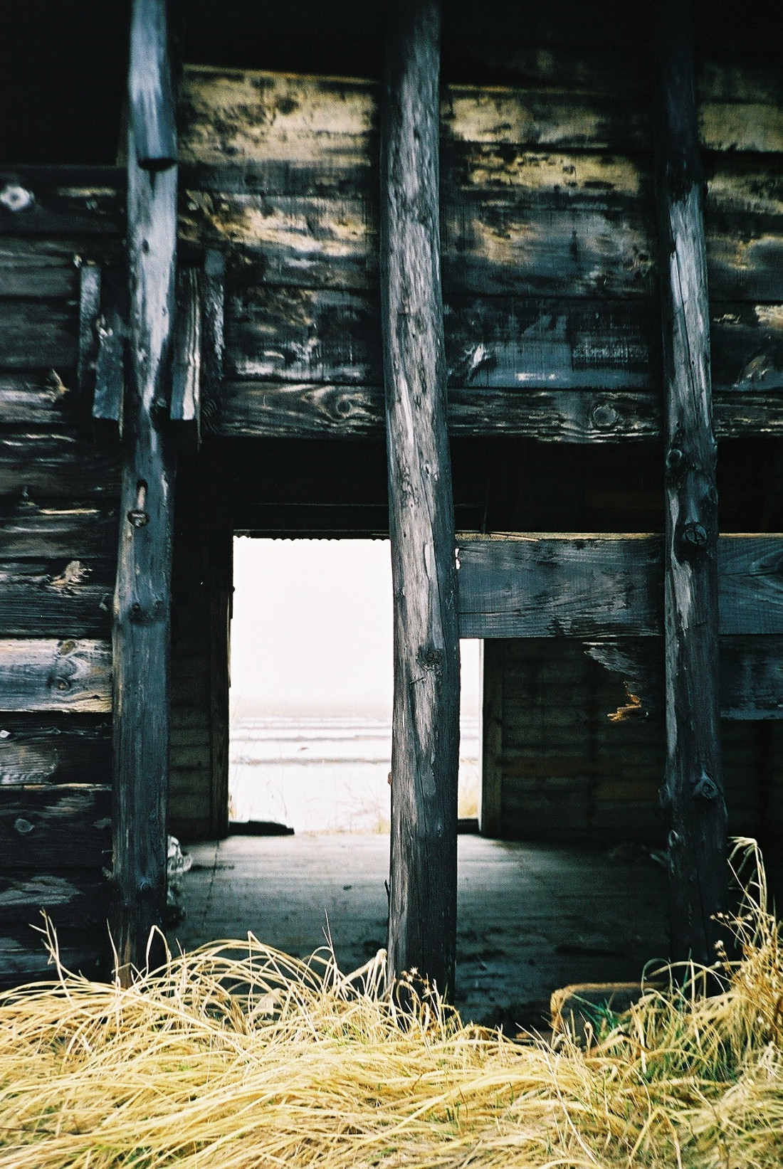 [coffee] 남은 것과 남지 않은 것 Photo-Image