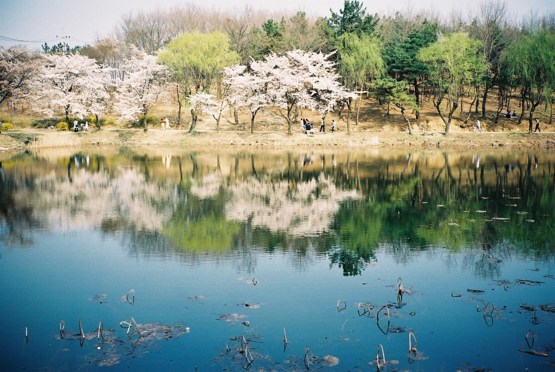 [Coffee] 봄,그리고 바람 Photo-Image