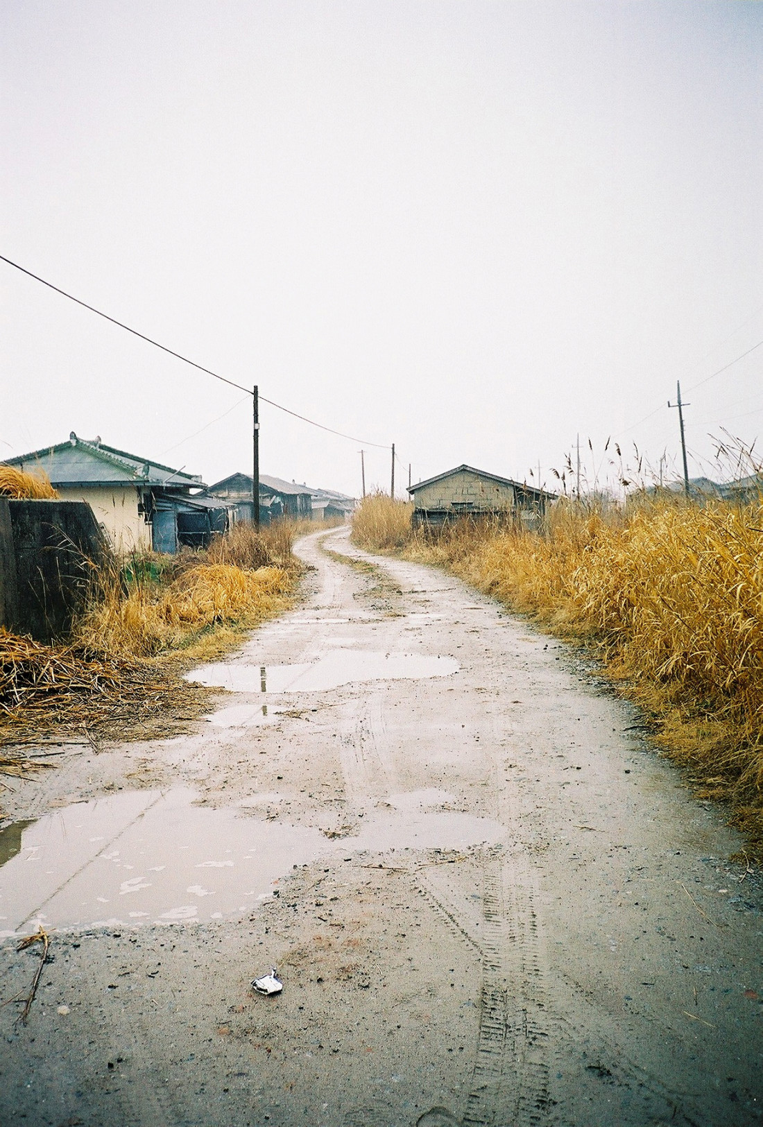 [coffee] 남은 것과 남지 않은 것 Photo-Image