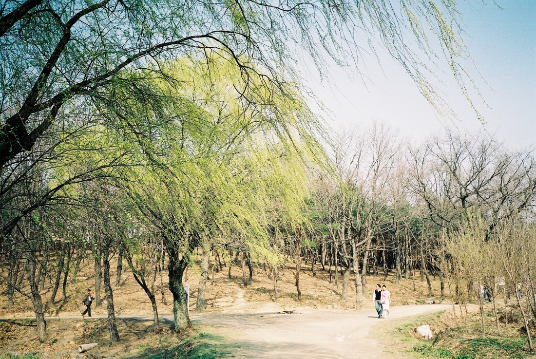 [Coffee] 봄,그리고 바람 Photo-Image