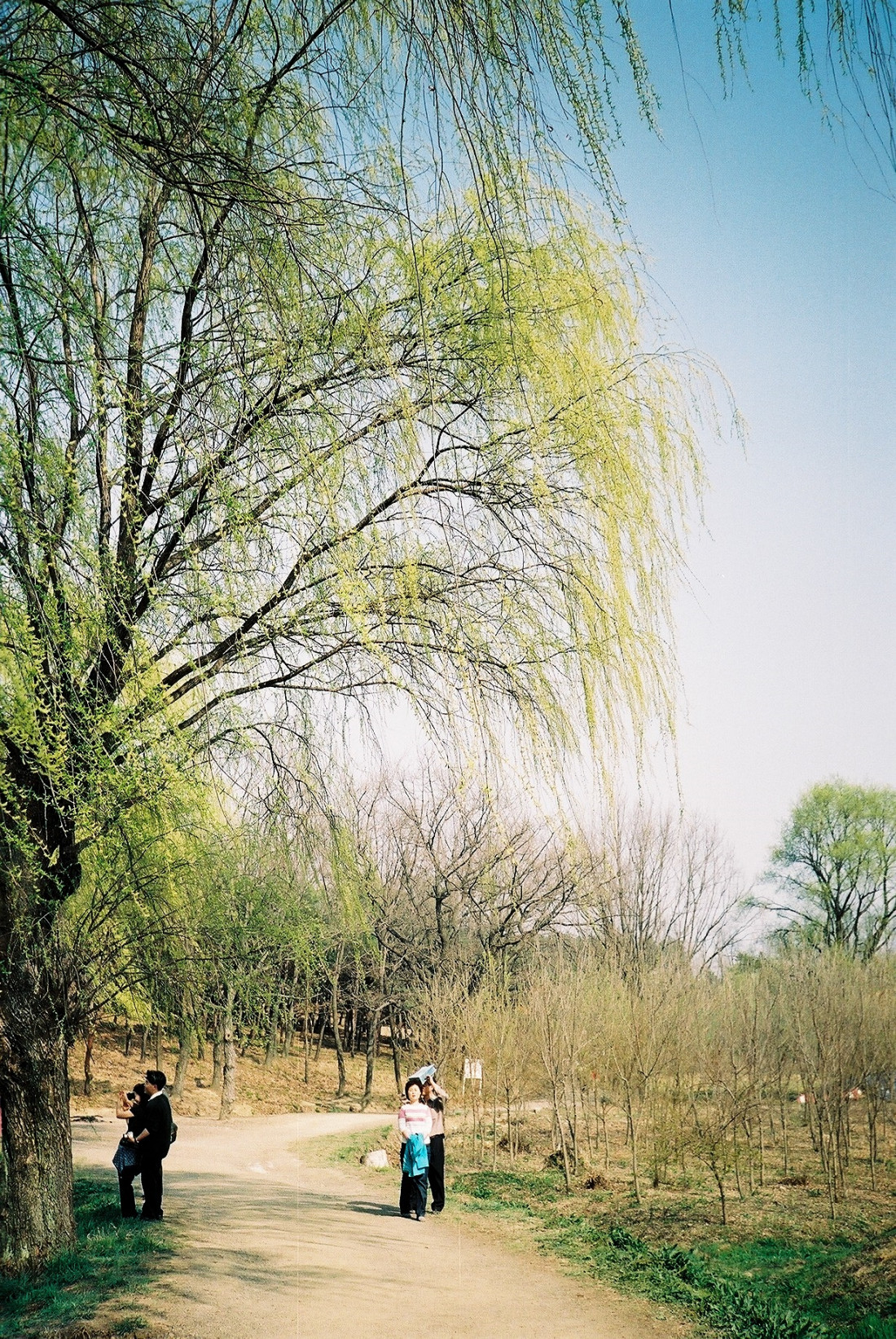 [Coffee] 봄,그리고 바람 Photo-Image