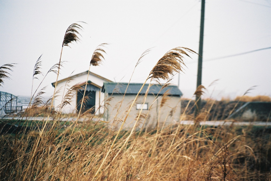 [coffee] 남은 것과 남지 않은 것 Photo-Image