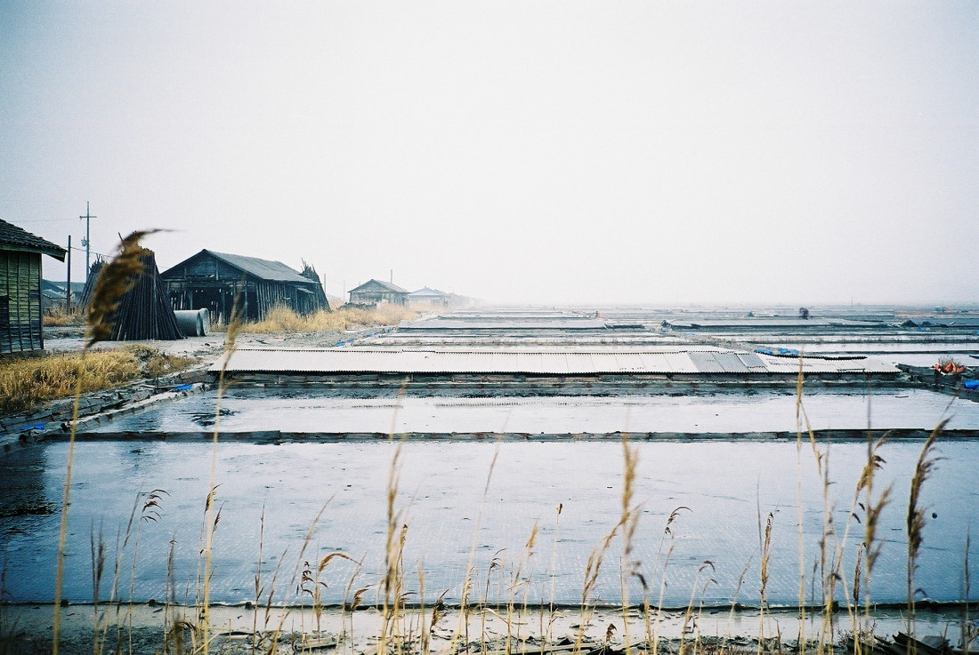 [coffee] 남은 것과 남지 않은 것 Photo-Image
