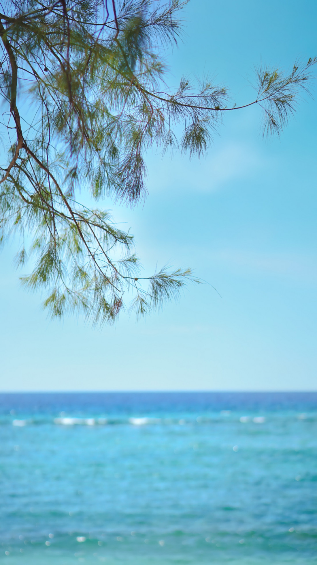 [Photo Poem] 삶의 여행 (A journey of life)_SkyMoon Photo-Image