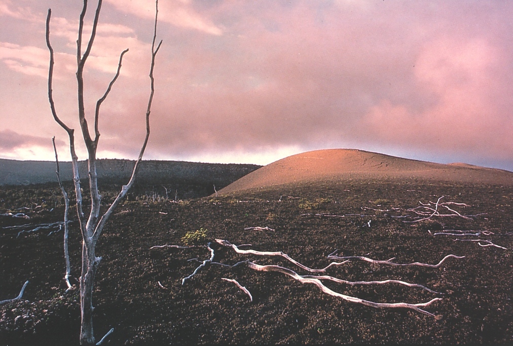 어릴적 우연히 발견 했던 엽서 묶음 Photo-Image