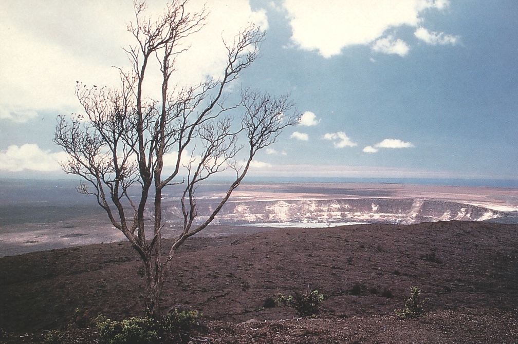 어릴적 우연히 발견 했던 엽서 묶음 Photo-Image