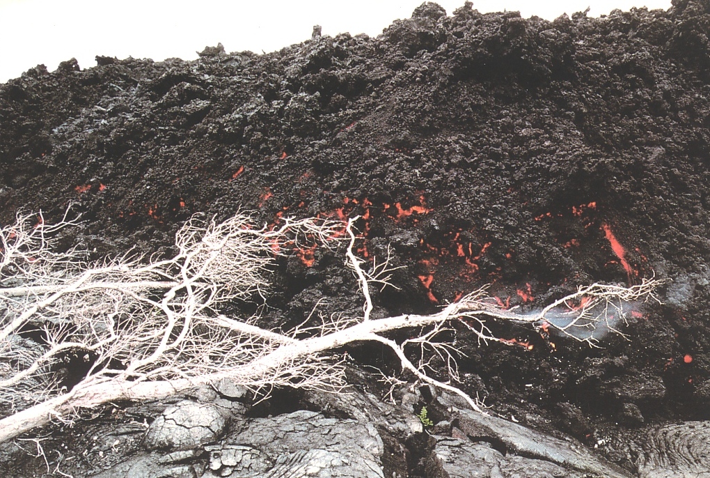 어릴적 우연히 발견 했던 엽서 묶음 Photo-Image