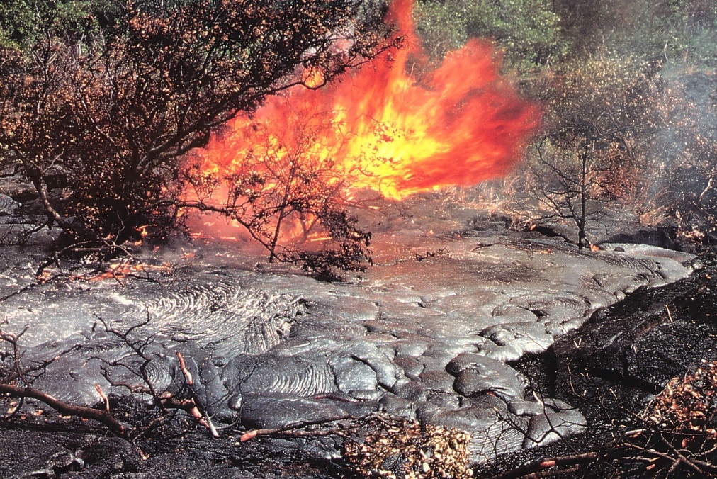 어릴적 우연히 발견 했던 엽서 묶음 Photo-Image