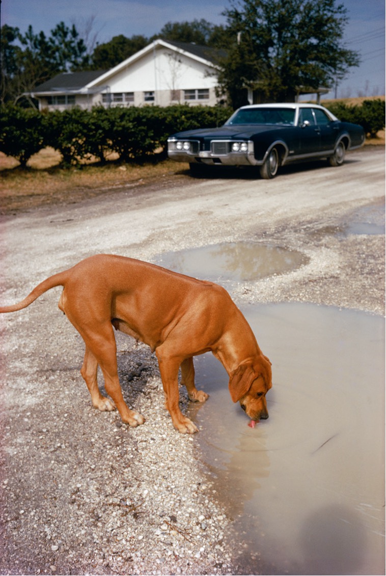 [Stephen Shore] 새로운 칼라 사진의 개척자 Photo-Image