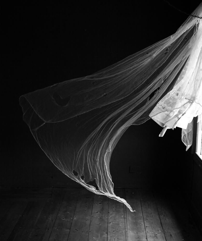 Nicola Davison Reed-커튼 실루엣 (Facebook) Photo-Image
