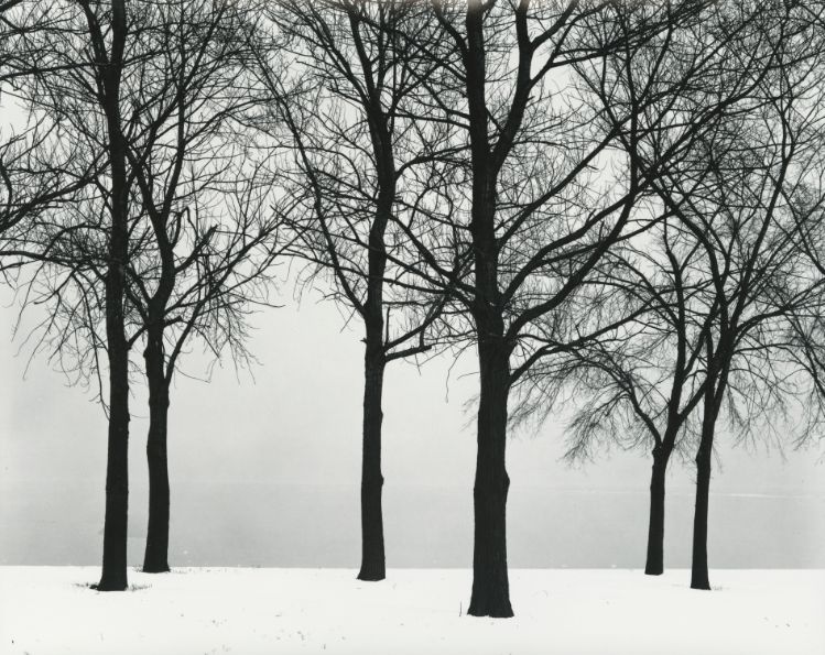 [Harry Callahan] 사진가들의 영원한 스승.해리 캘러한.Harry Callahan (1912–1999) Photo-Image