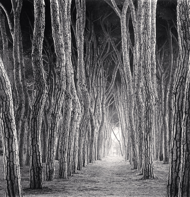 [Michael Kenna,마이클 케나] 미니멀리즘 장노출 Photo-Image