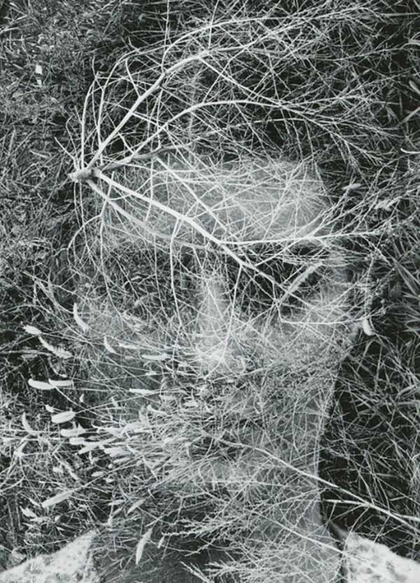 [Harry Callahan] 사진가들의 영원한 스승.해리 캘러한.Harry Callahan (1912–1999) Photo-Image