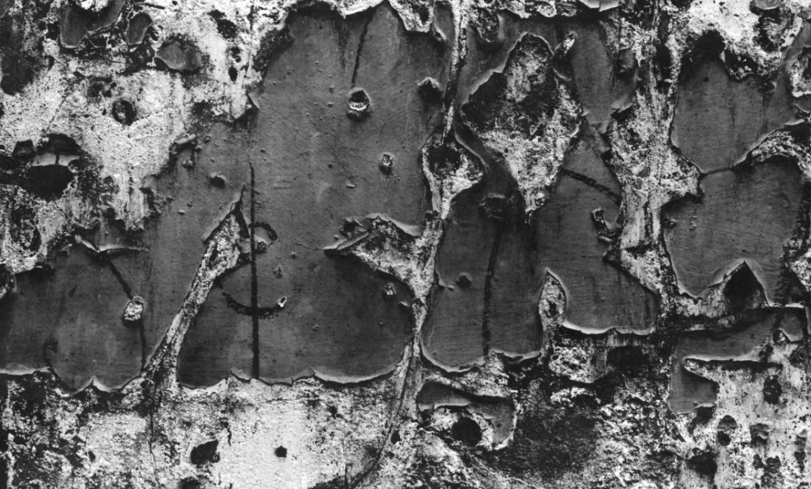 [Aaron Siskind] 추상 사진가 아론 시스킨드 Photo-Image