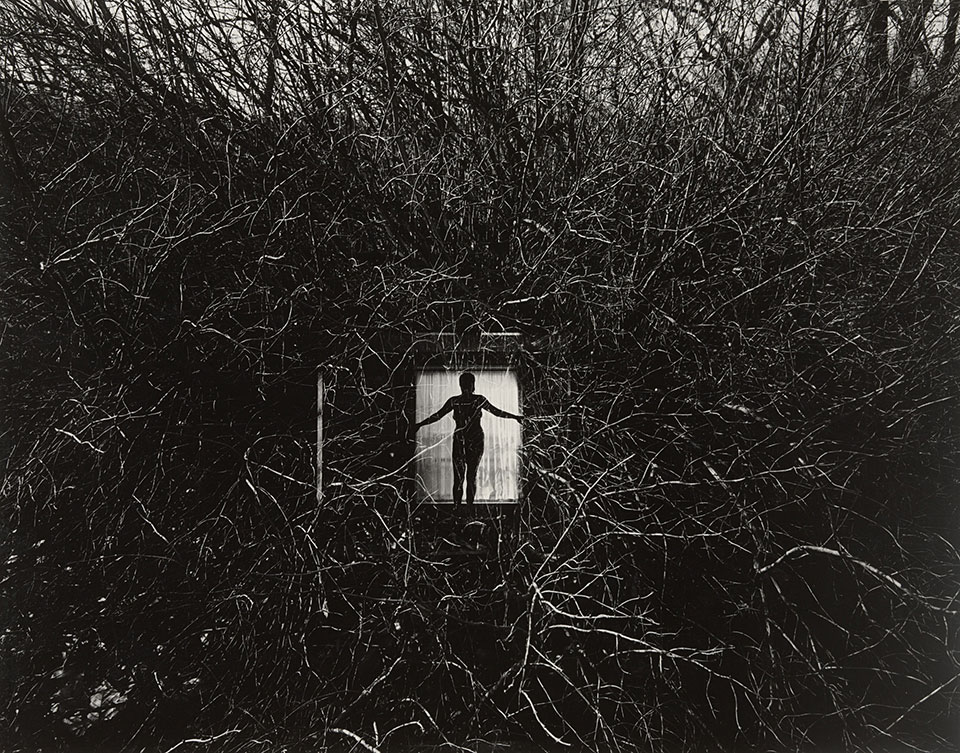 [Harry Callahan] 사진가들의 영원한 스승.해리 캘러한.Harry Callahan (1912–1999) Photo-Image