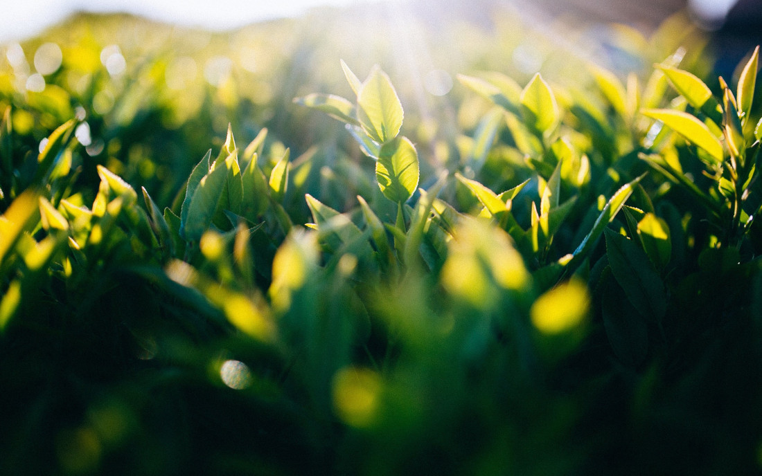 배경화면 모음 2 Photo-Image