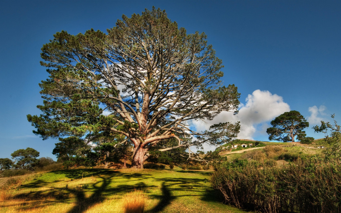 배경화면 모음 1 Photo-Image