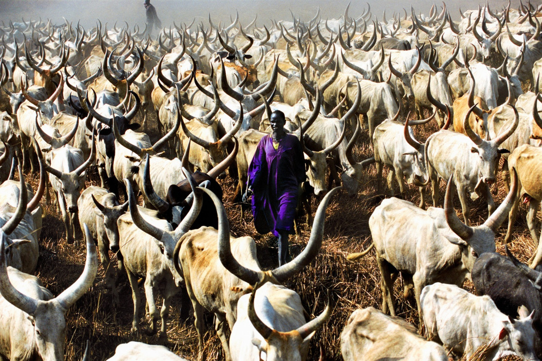 20세기 여류 사진 작가 사진 모음 Photo-Image