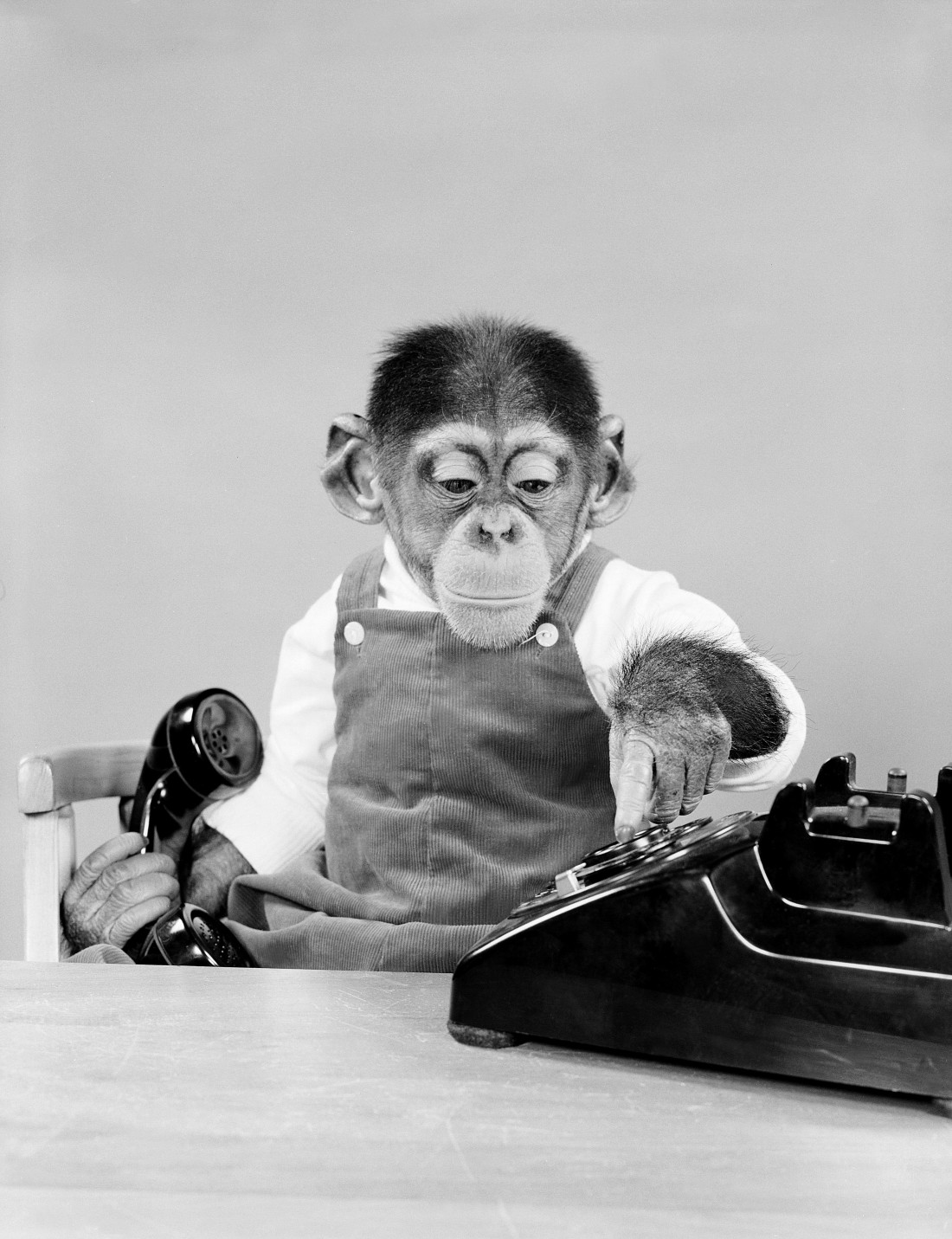 예술 The History Of The 20th Century [BBC Archive] Photo-Image