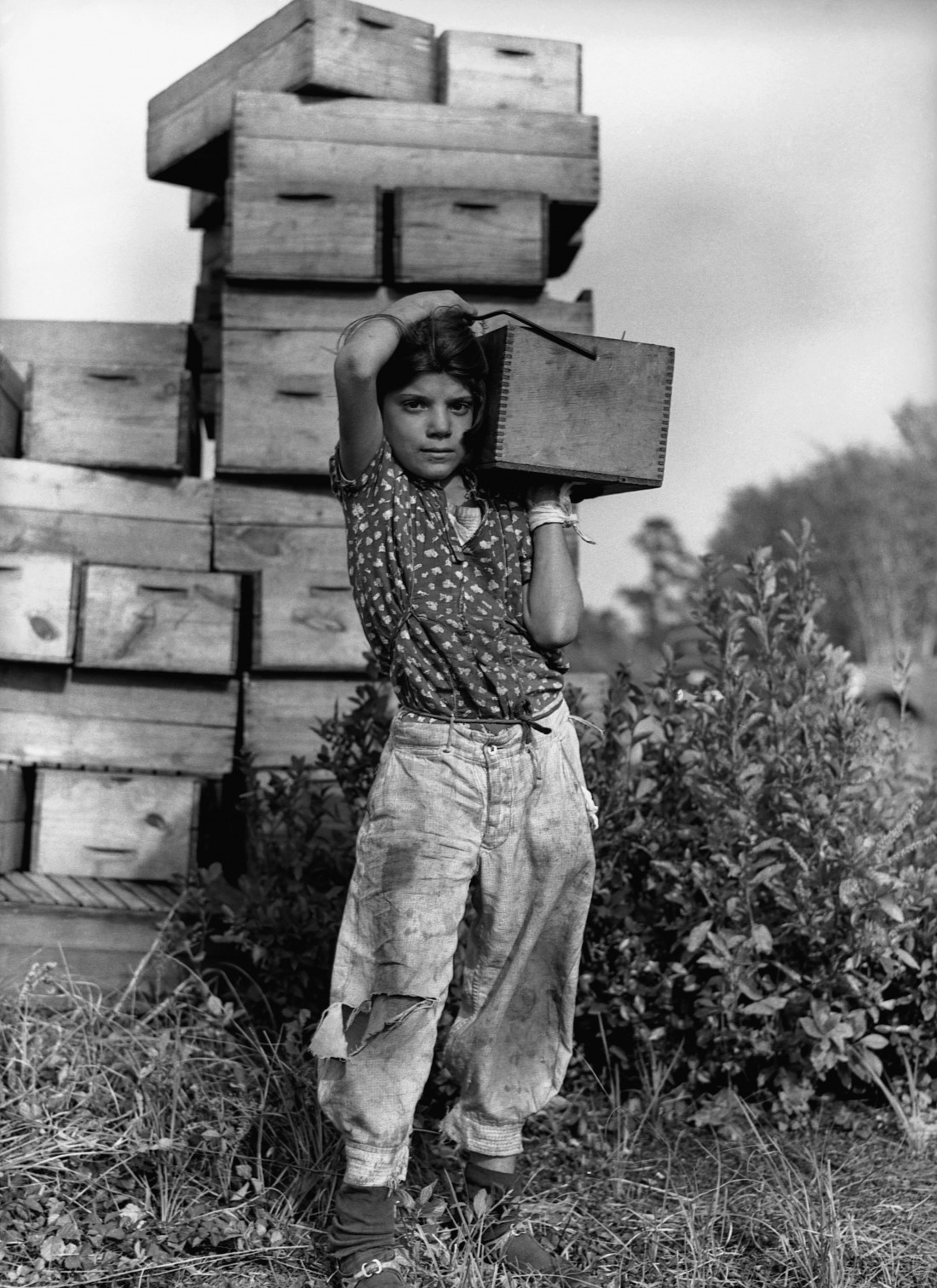 사람들 The History Of The 20th Century [BBC Archive] Photo-Image