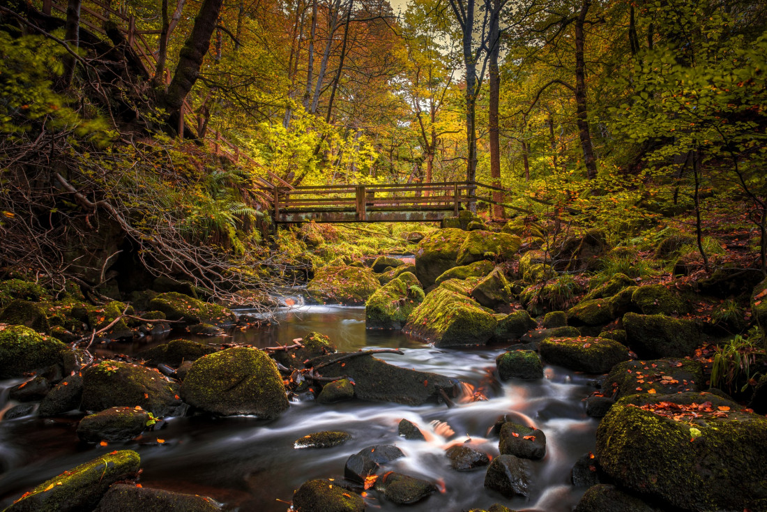 Paul Benns Photo-Image