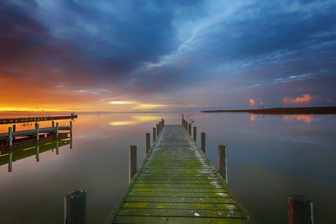 Neil Edwards Photo-Image