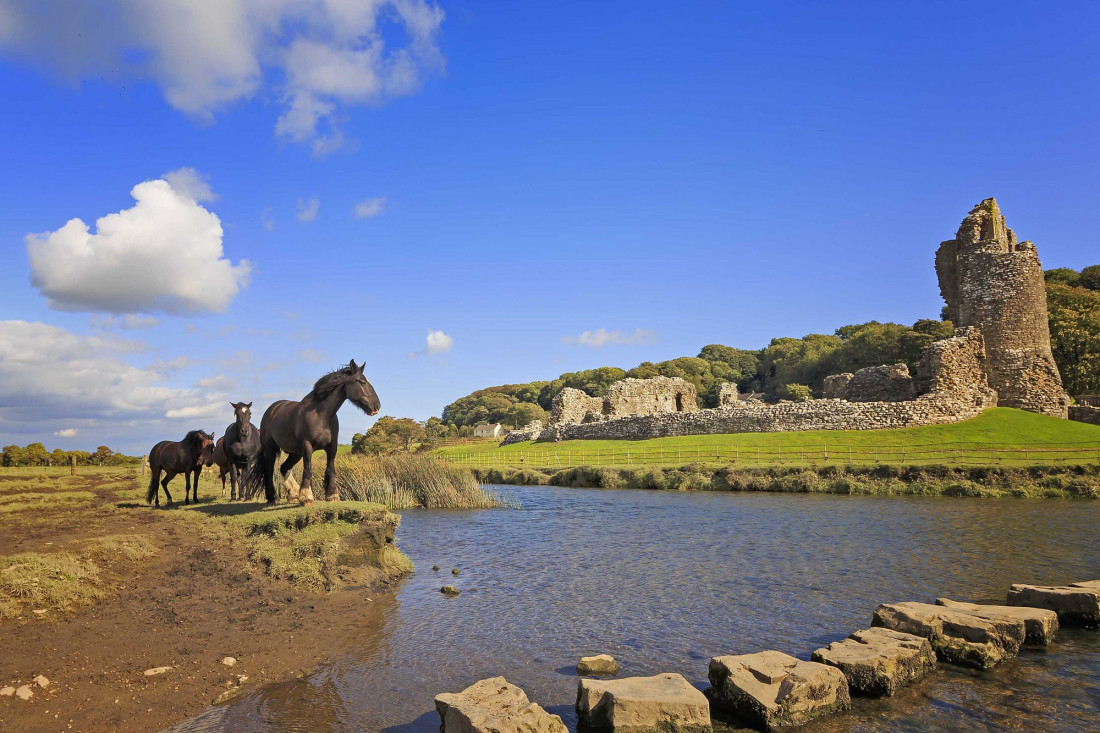 Neil Edwards Photo-Image