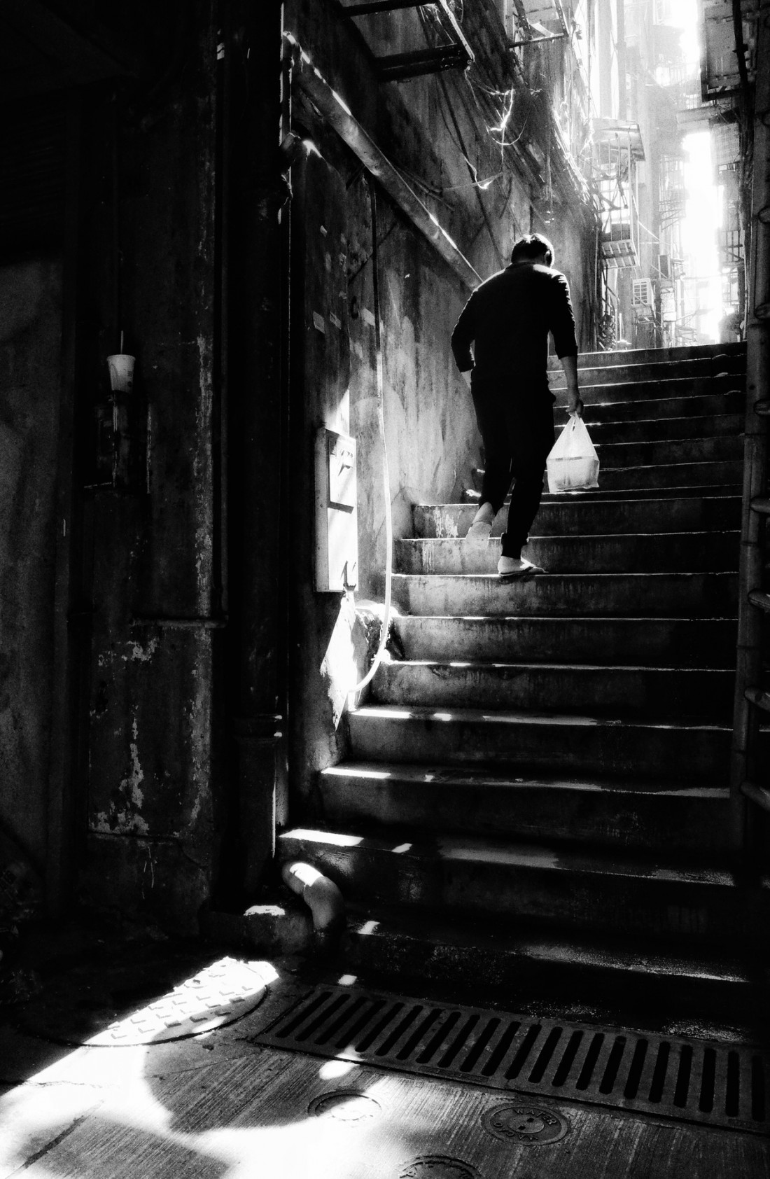 Under The Sign Of The White Rose Photo-Image