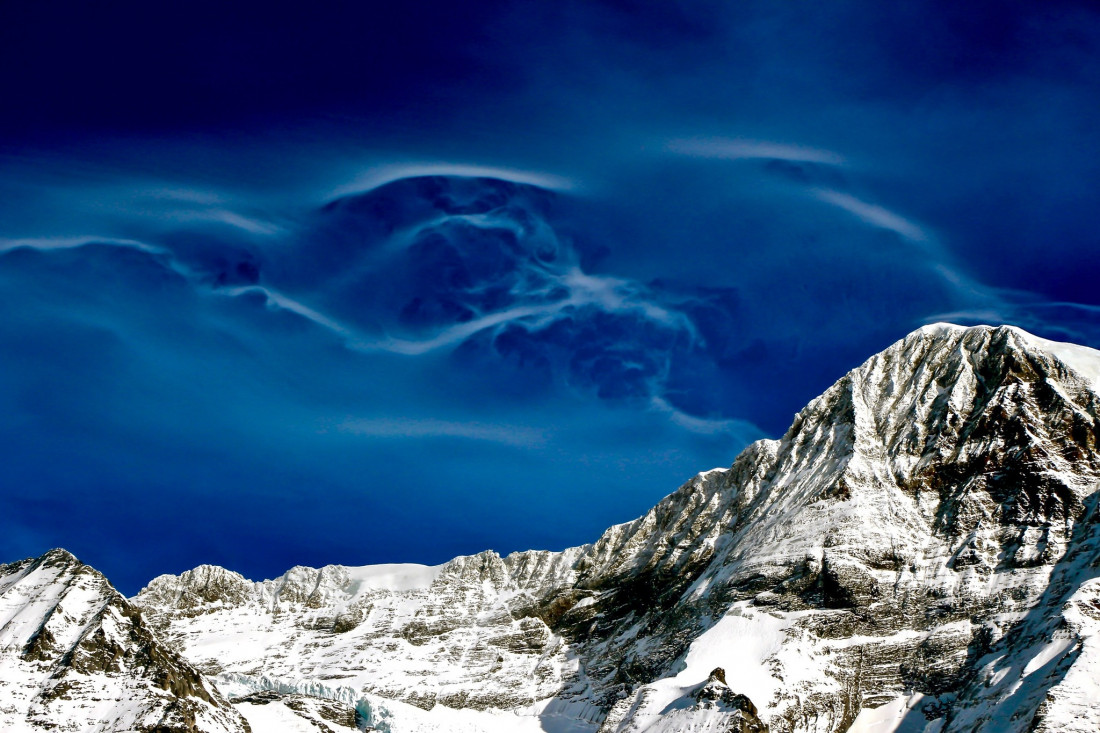 Sylvia Furrer Photo-Image