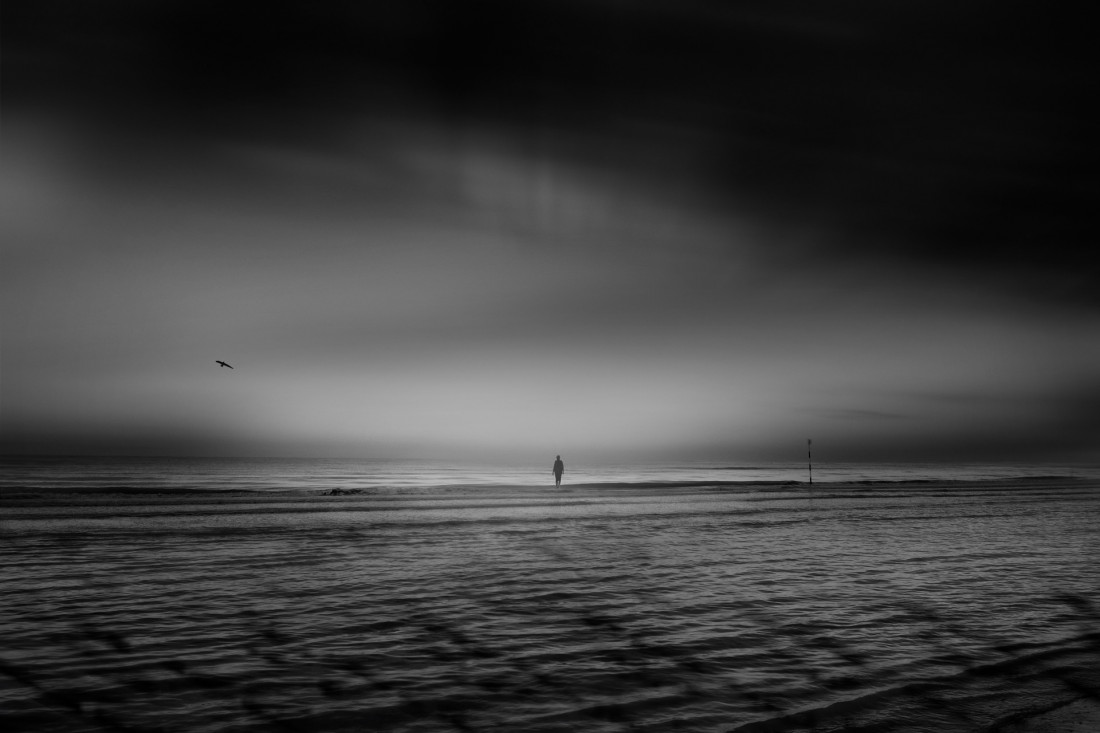 ines_maria (flickr) Photo-Image