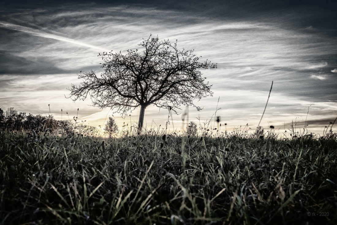 Flicker Image 3 Photo-Image