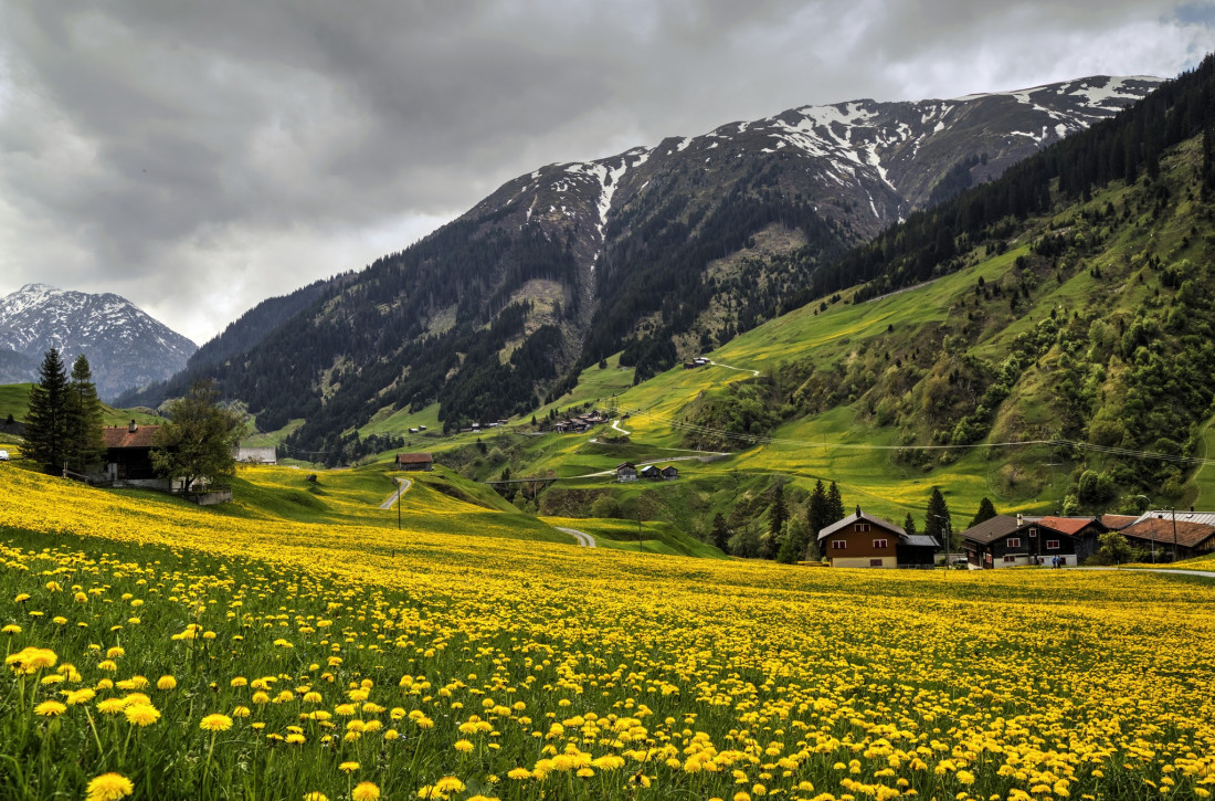 Alex Polli Photo-Image