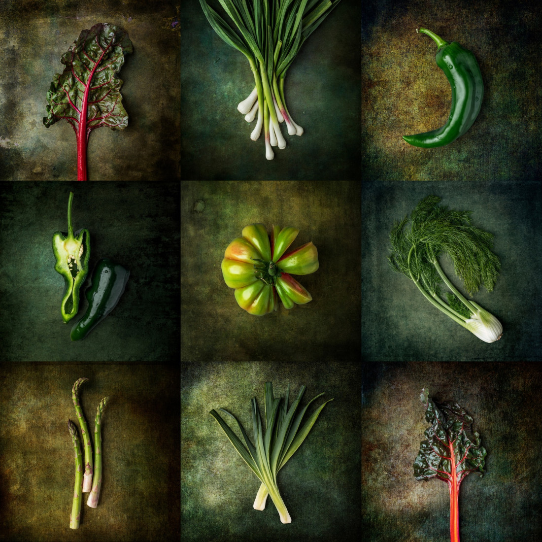 Sara Ghedina 1 Photo-Image