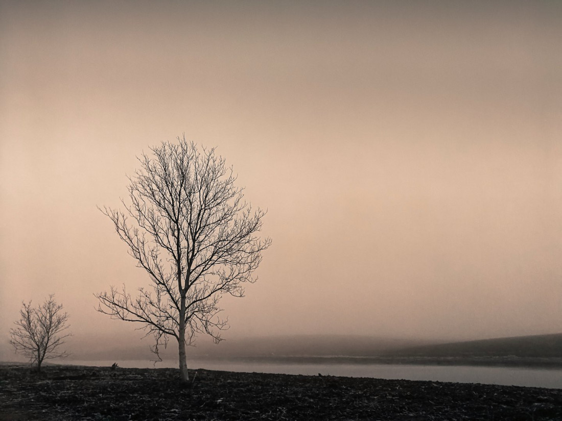 Flickr Image 1 Photo-Image