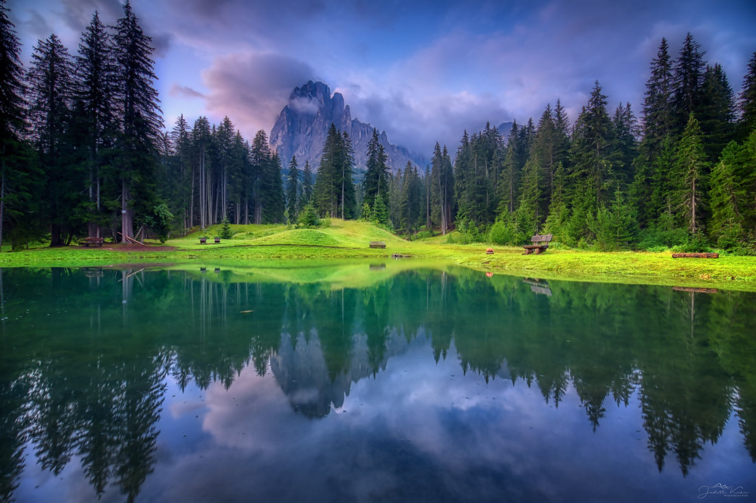 Flickr Image 1 Photo-Image