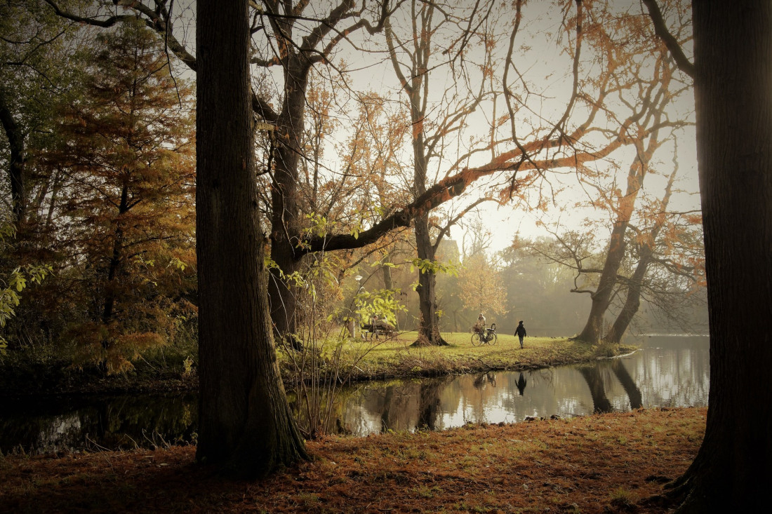 Flickr Image 1 Photo-Image