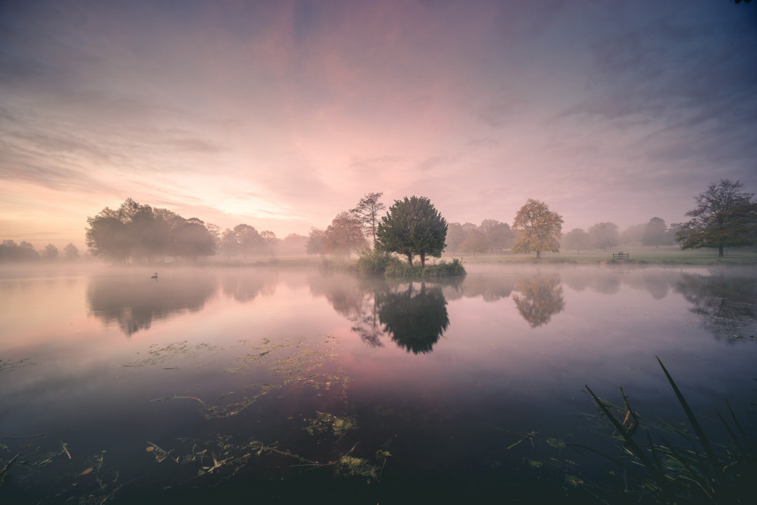 Paul Benns Photo-Image