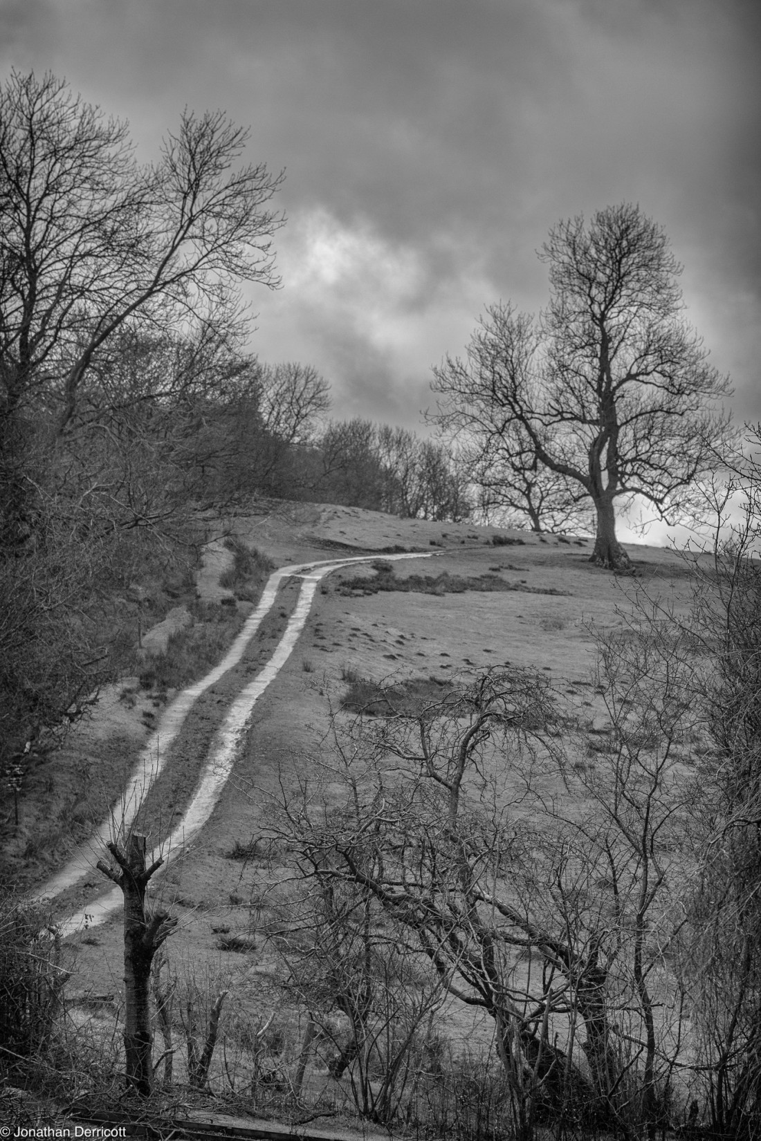 Jon Derricott Photo-Image