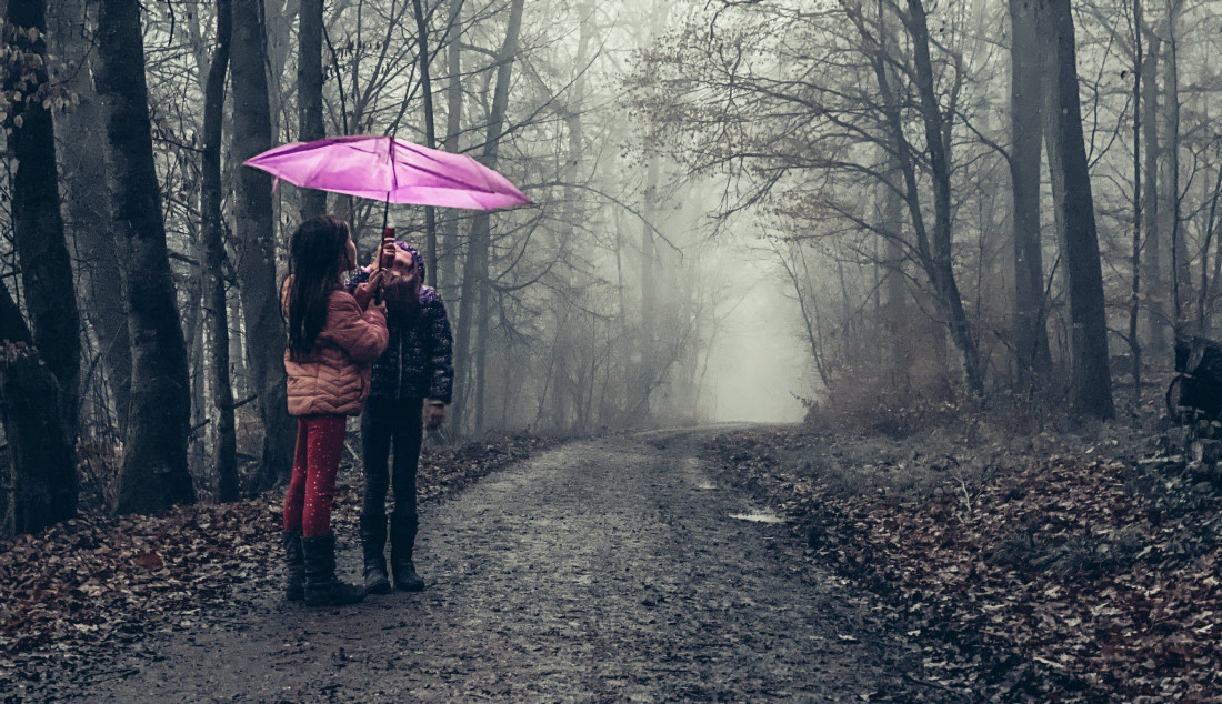 Flicker Image 4 Photo-Image