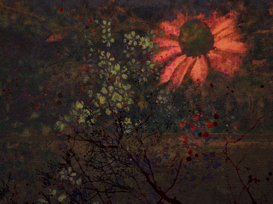 Eva Arendt Photo-Image