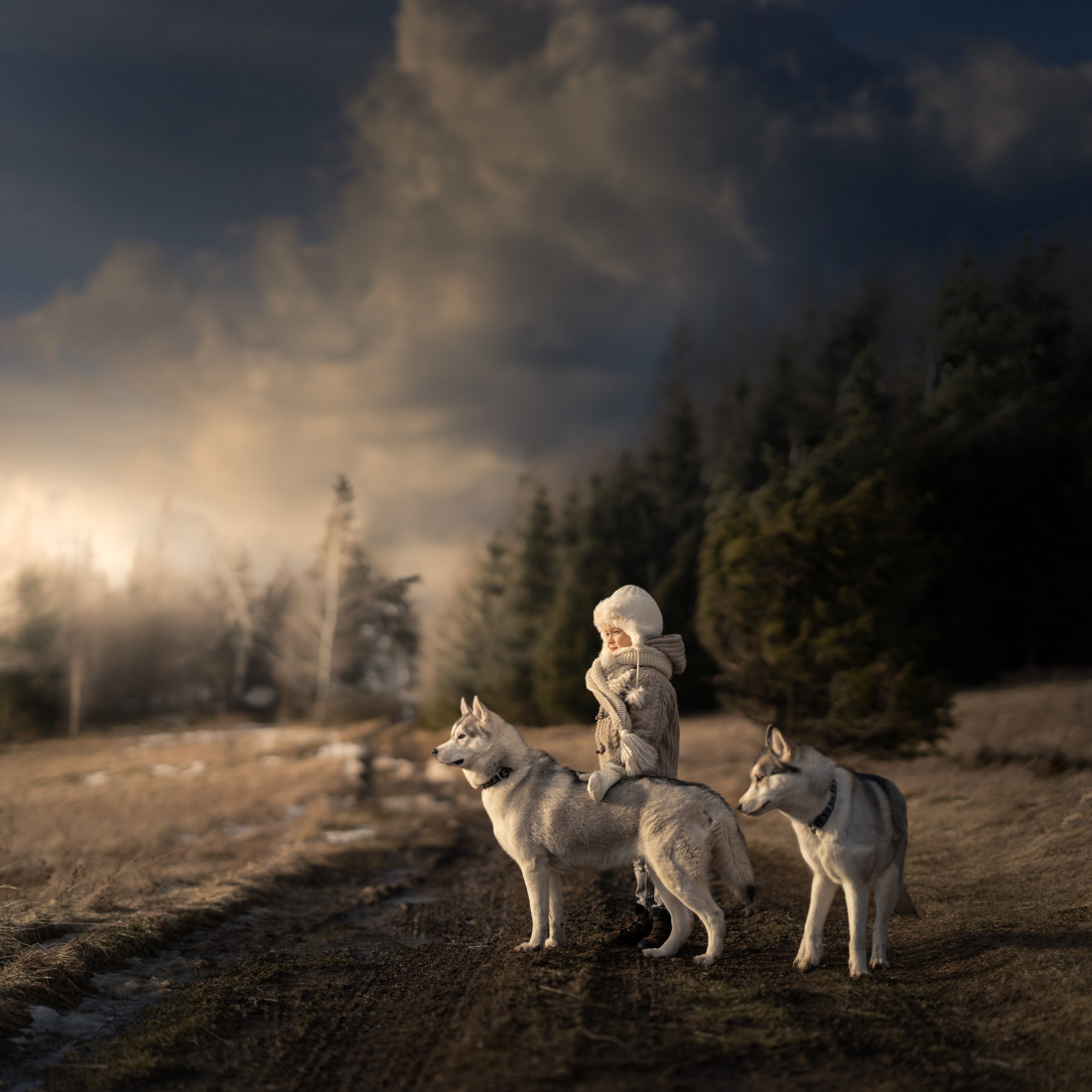 iwona_podlasinska Photo-Image