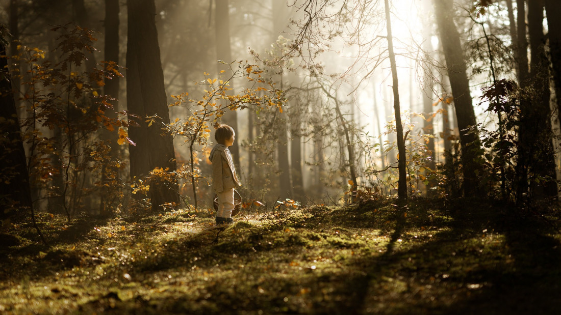 iwona_podlasinska Photo-Image