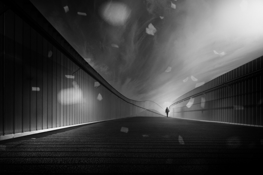 ines_maria (flickr) Photo-Image